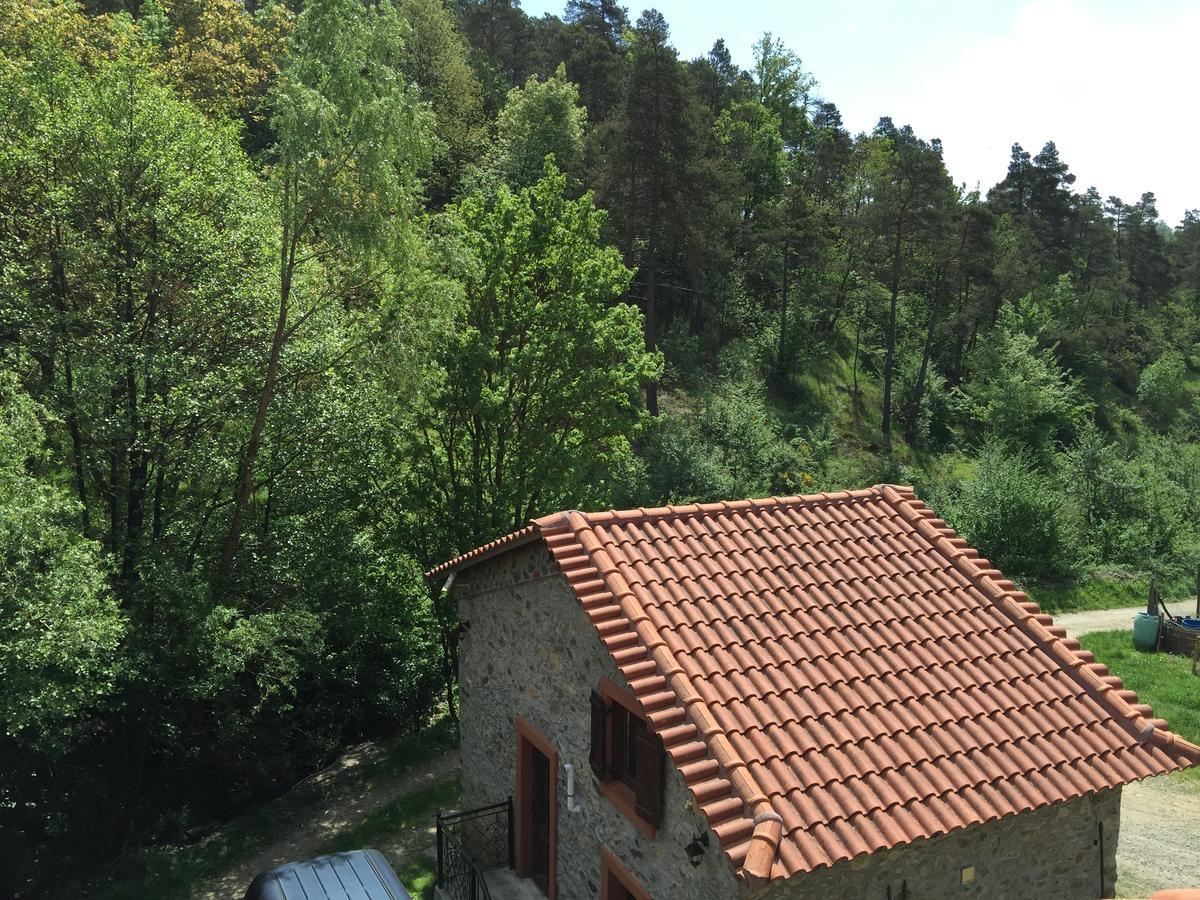 Giusvalla Forest Village Dego 外观 照片
