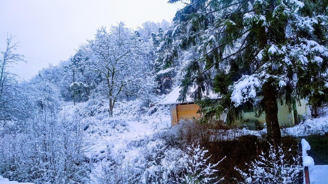 Giusvalla Forest Village Dego 外观 照片